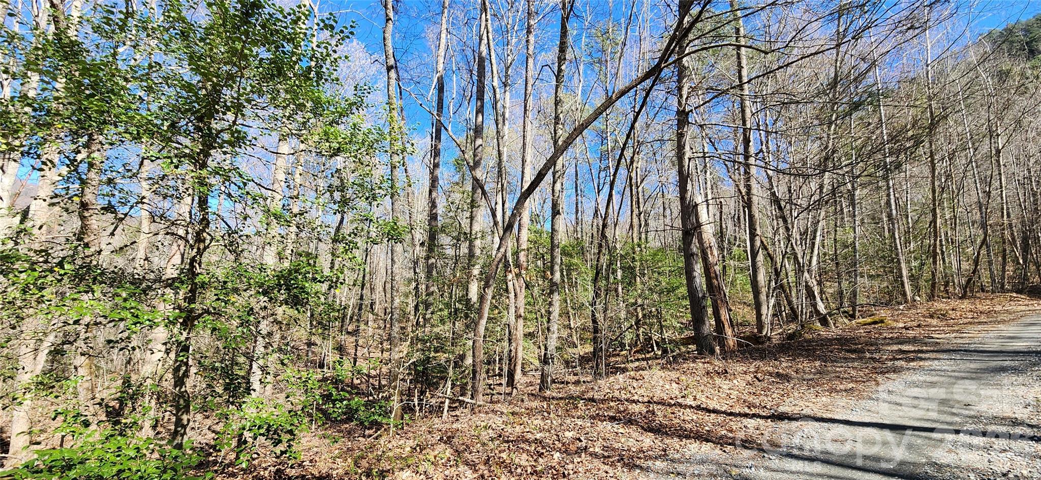 0 Buffalo Creek Road Lake Lure NC 28746