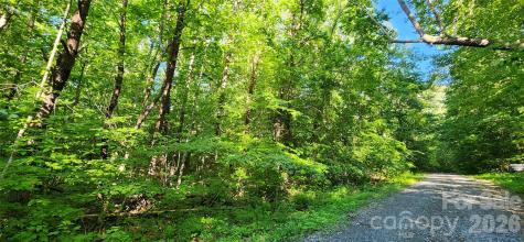 0 Buffalo Creek Road Lake Lure NC 28746