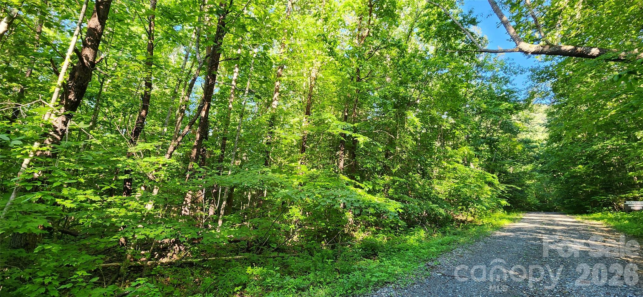 0 Buffalo Creek Road Lake Lure NC 28746