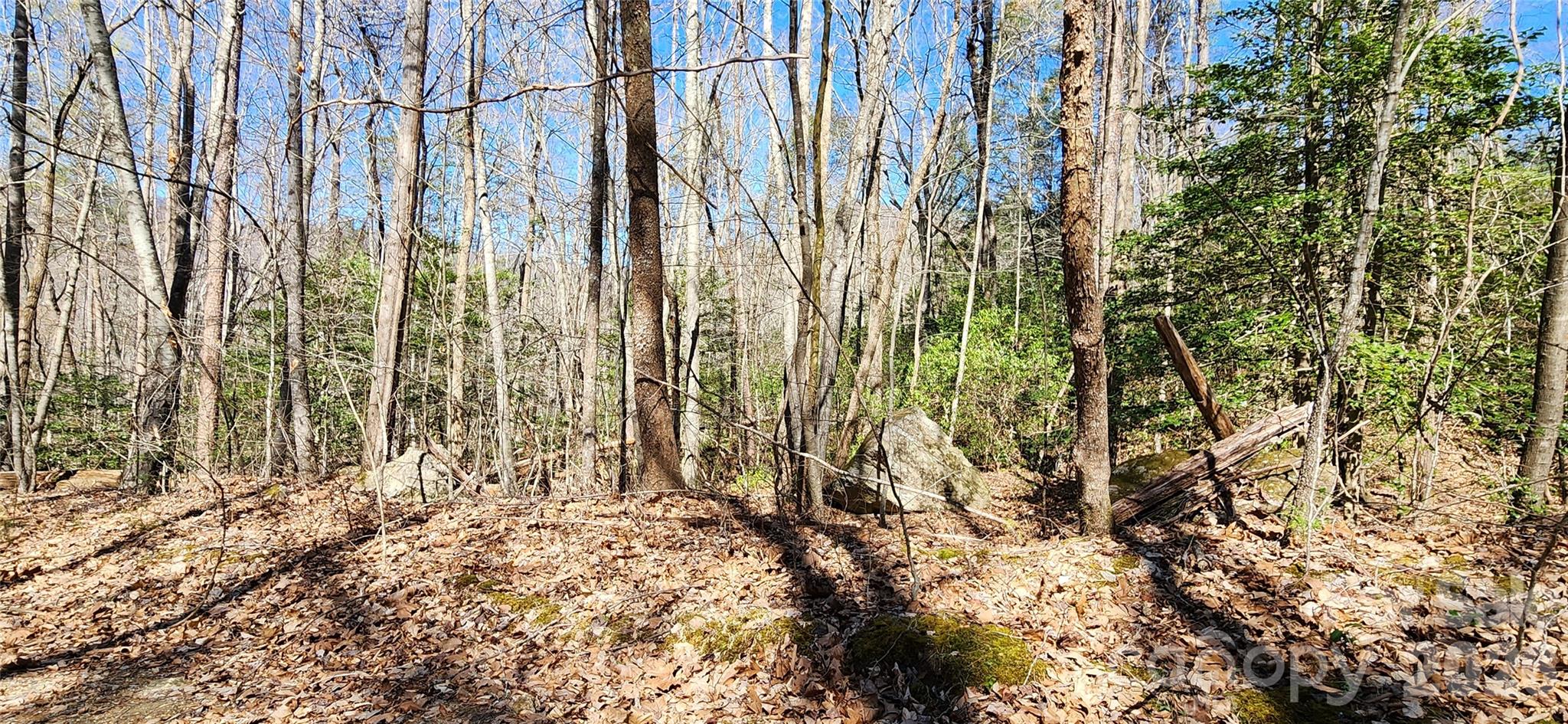 0 Buffalo Creek Road Lake Lure NC 28746