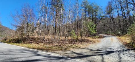 0 Buffalo Creek Road Lake Lure NC 28746