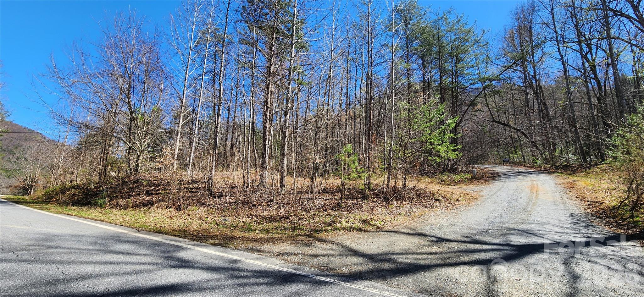 0 Buffalo Creek Road Lake Lure NC 28746