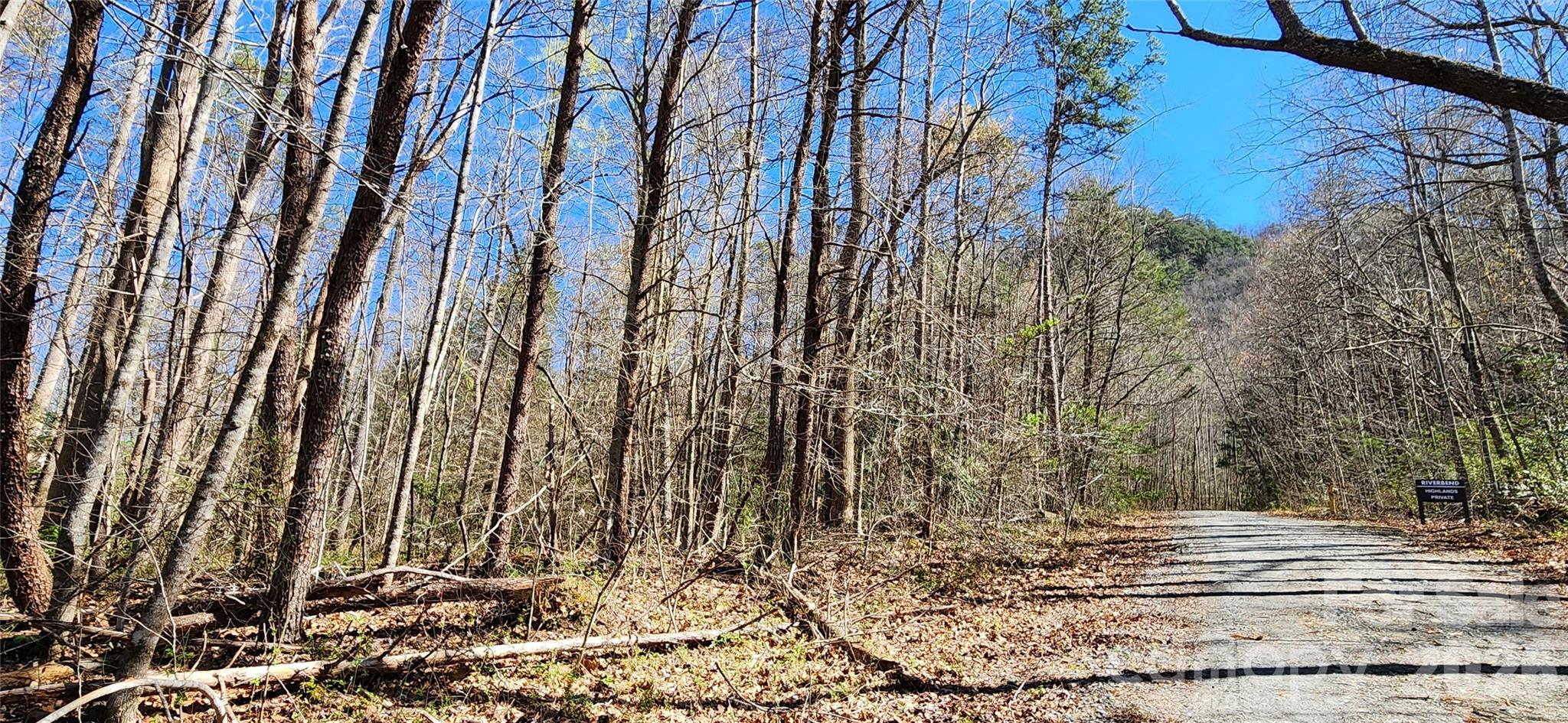 0 Buffalo Creek Road Lake Lure NC 28746