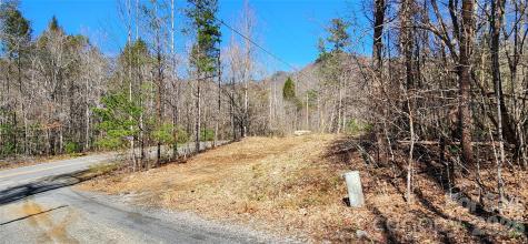 0 Buffalo Creek Road Lake Lure NC 28746