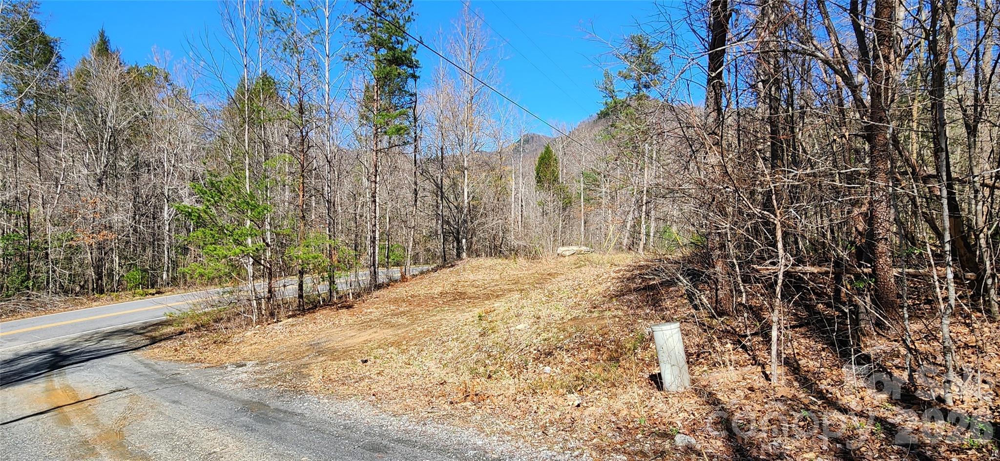 0 Buffalo Creek Road Lake Lure NC 28746