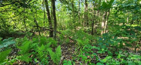 0 Buffalo Creek Road Lake Lure NC 28746