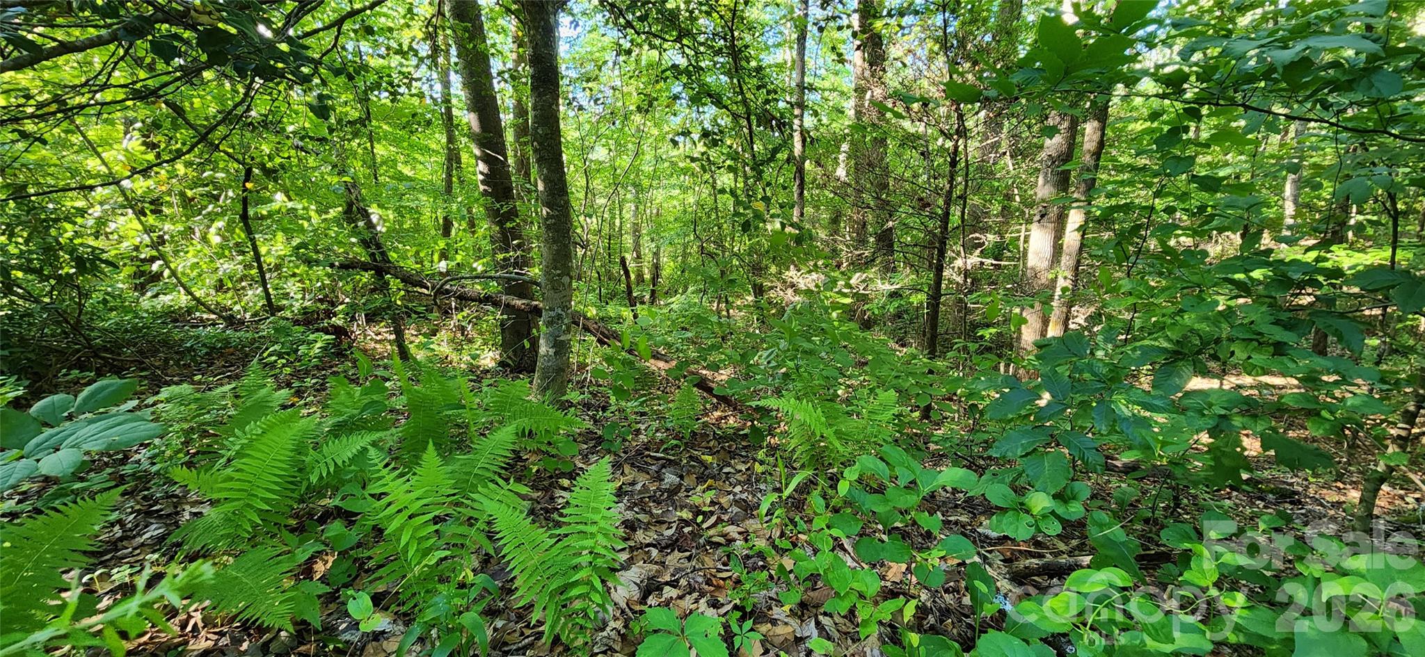 0 Buffalo Creek Road Lake Lure NC 28746