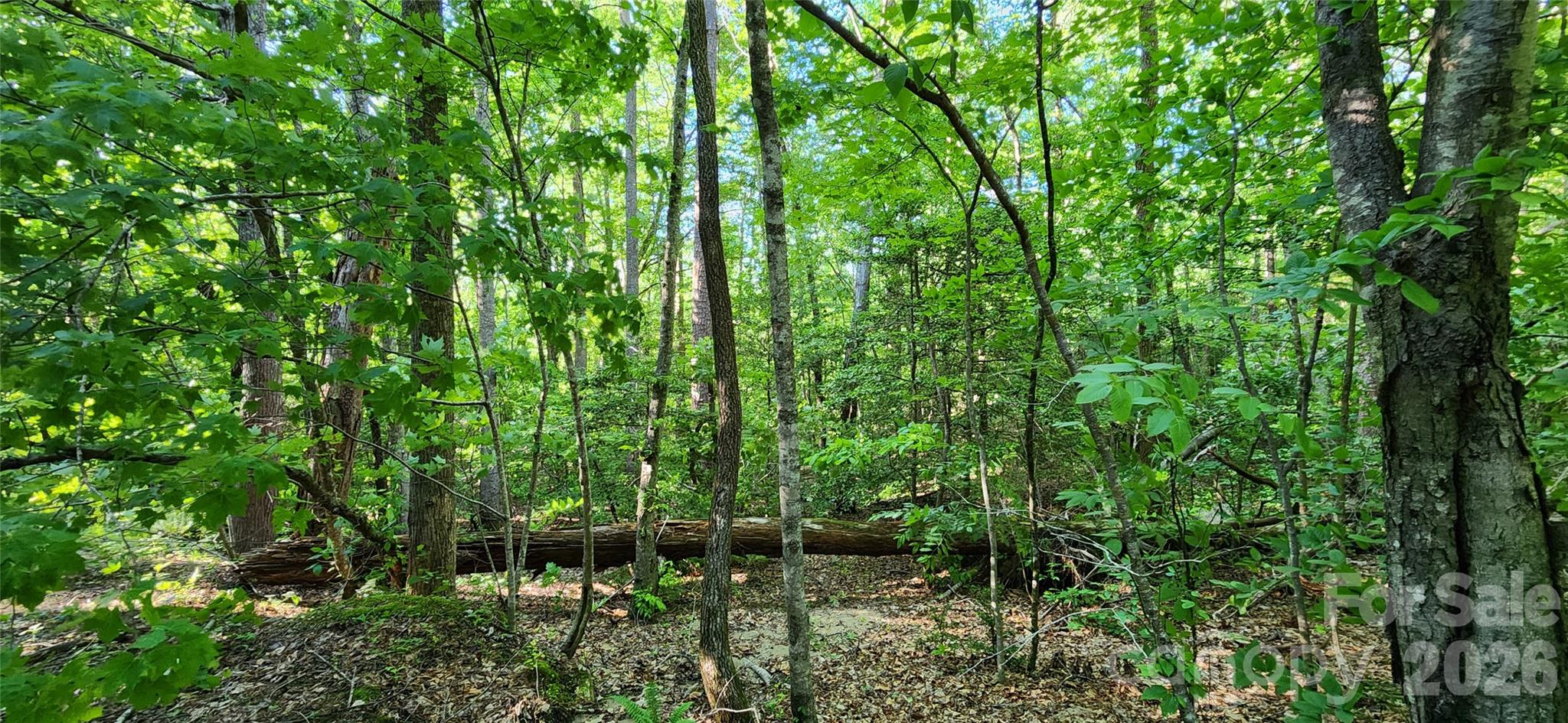 0 Buffalo Creek Road Lake Lure NC 28746