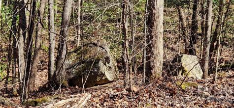 0 Buffalo Creek Road Lake Lure NC 28746