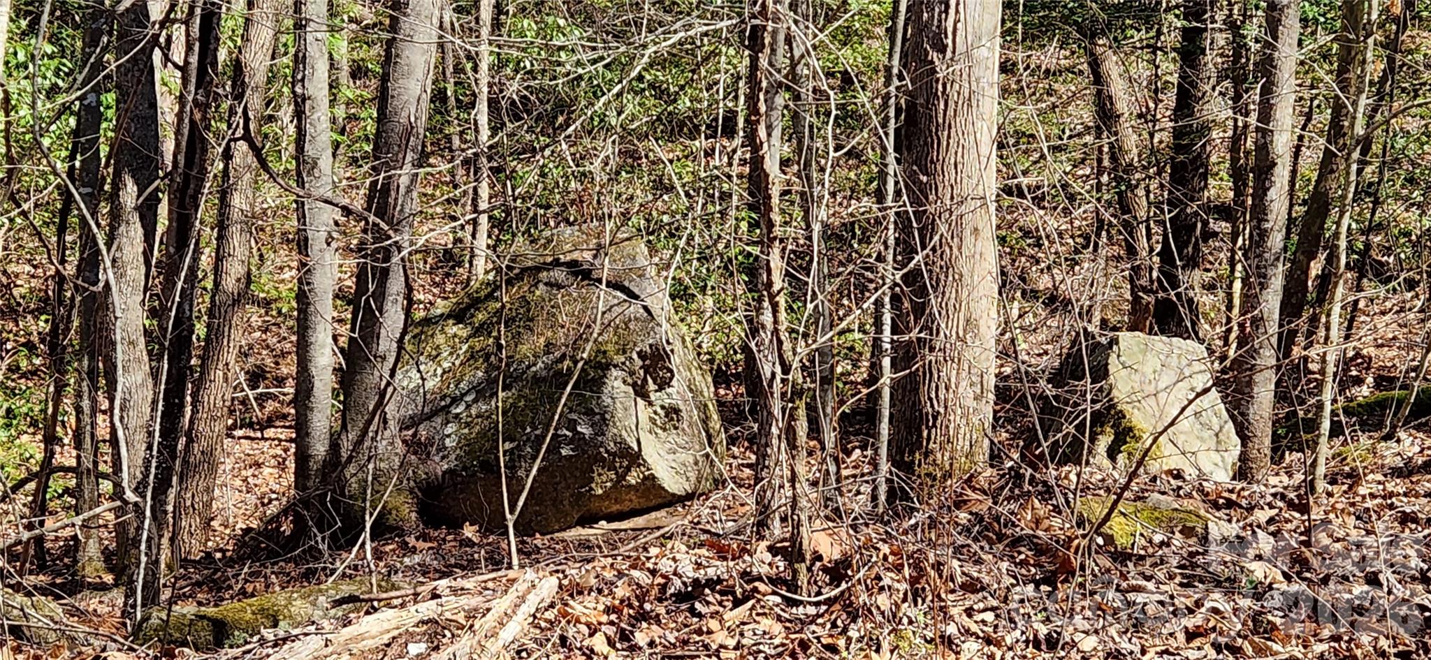0 Buffalo Creek Road Lake Lure NC 28746