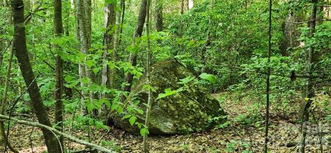 0 Buffalo Creek Road Lake Lure NC 28746