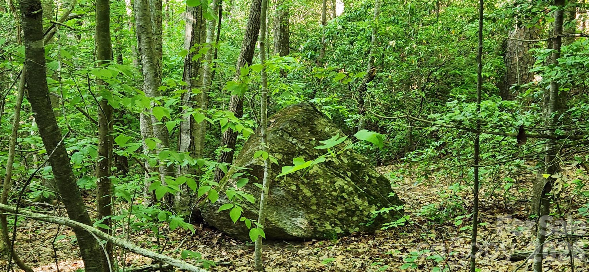 0 Buffalo Creek Road Lake Lure NC 28746