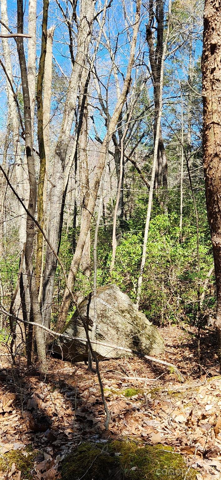 0 Buffalo Creek Road Lake Lure NC 28746