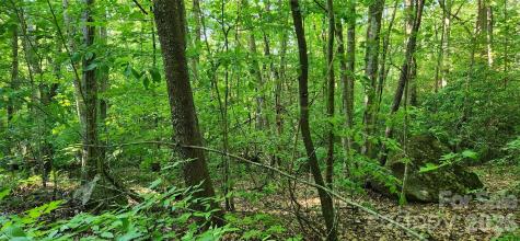 0 Buffalo Creek Road Lake Lure NC 28746