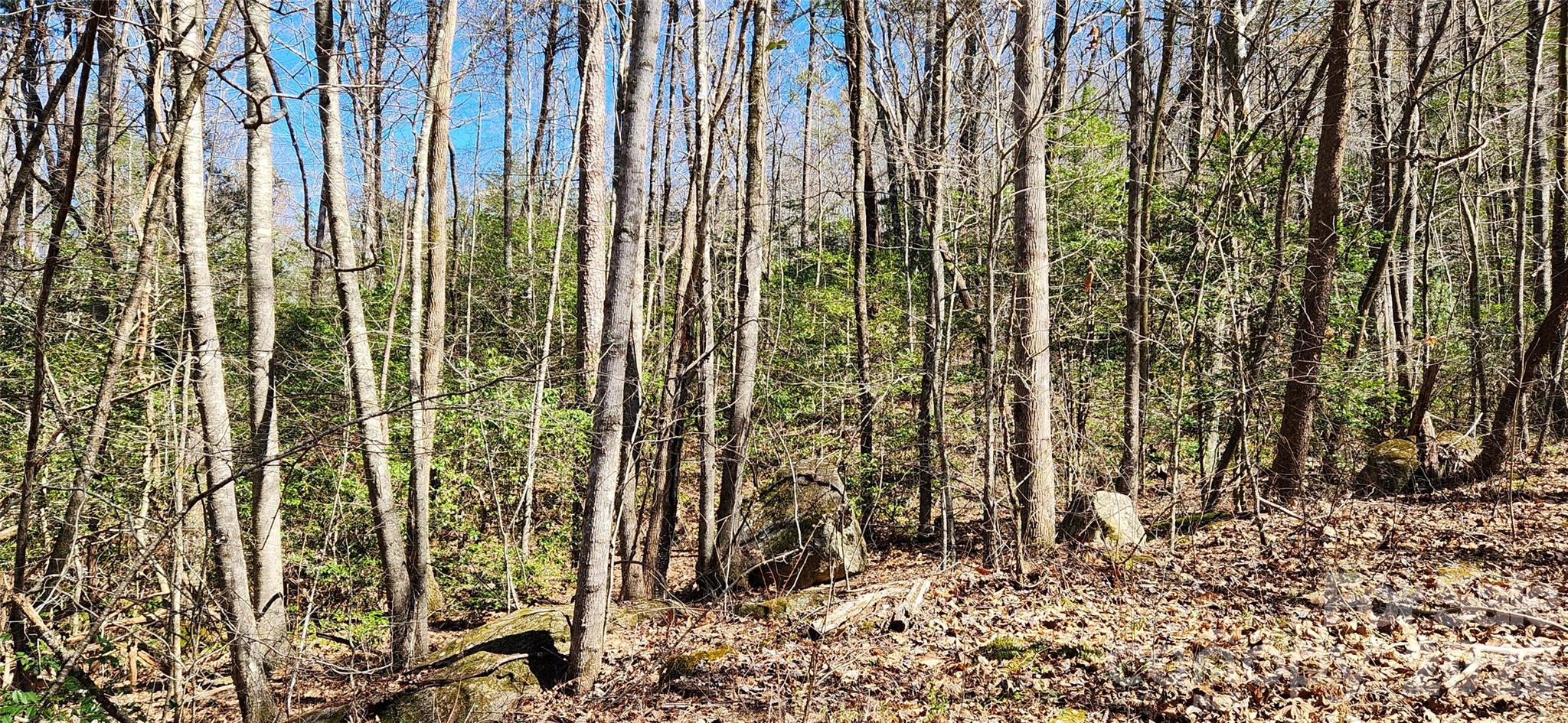 0 Buffalo Creek Road Lake Lure NC 28746
