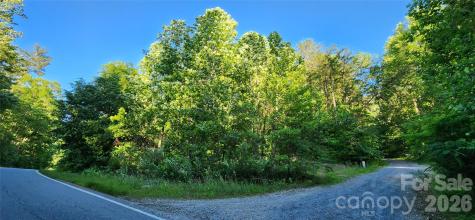 0 Buffalo Creek Road Lake Lure NC 28746
