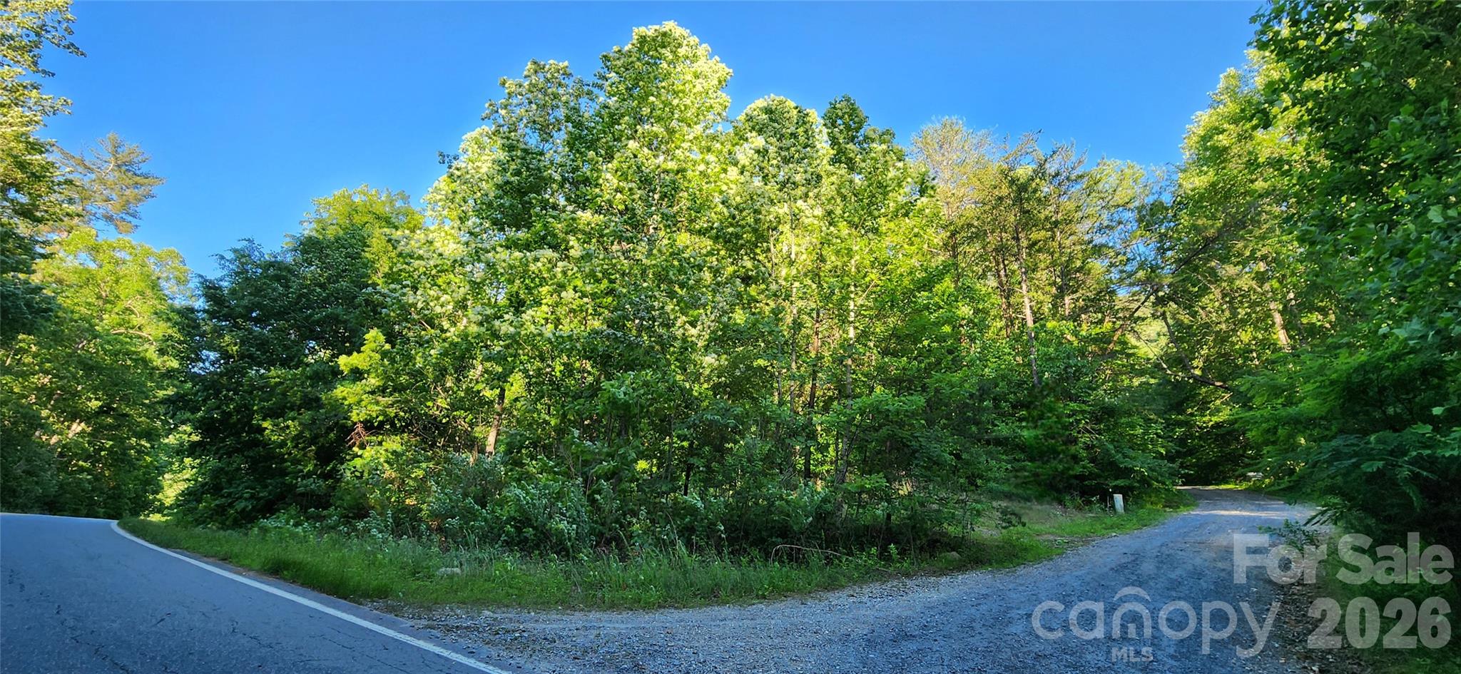 0 Buffalo Creek Road Lake Lure NC 28746