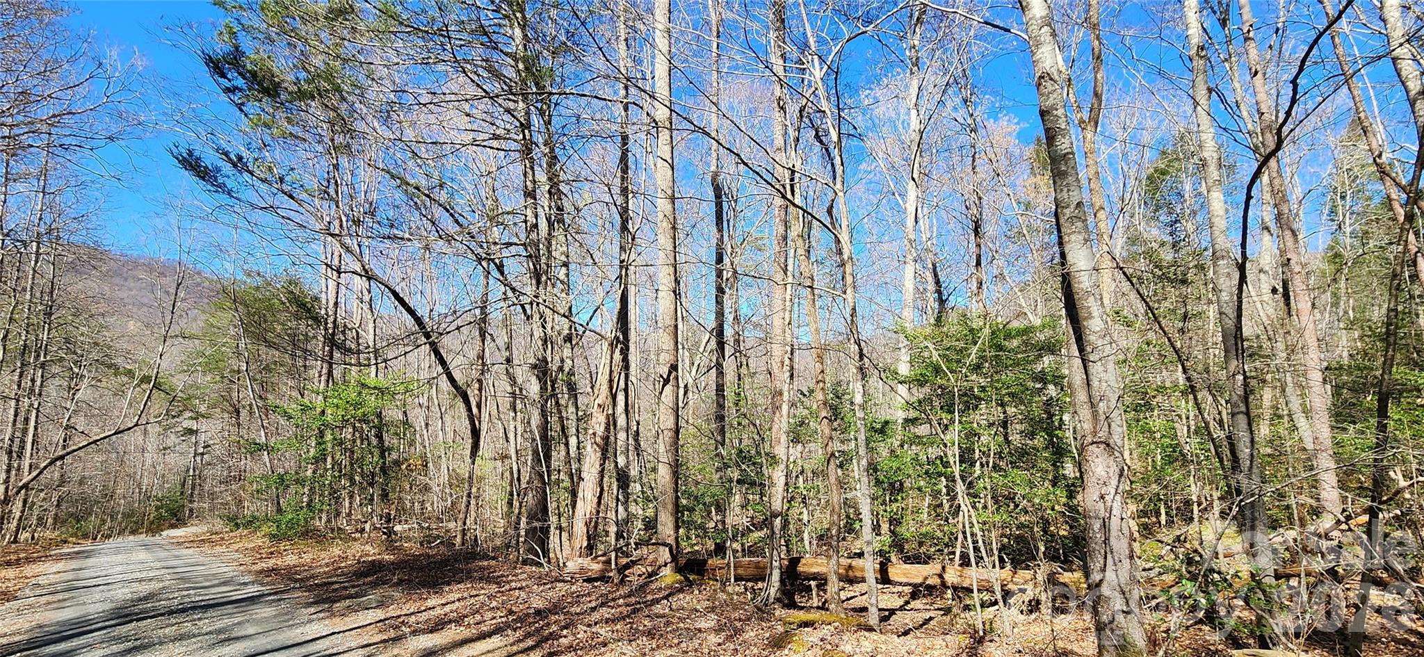 0 Buffalo Creek Road Lake Lure NC 28746