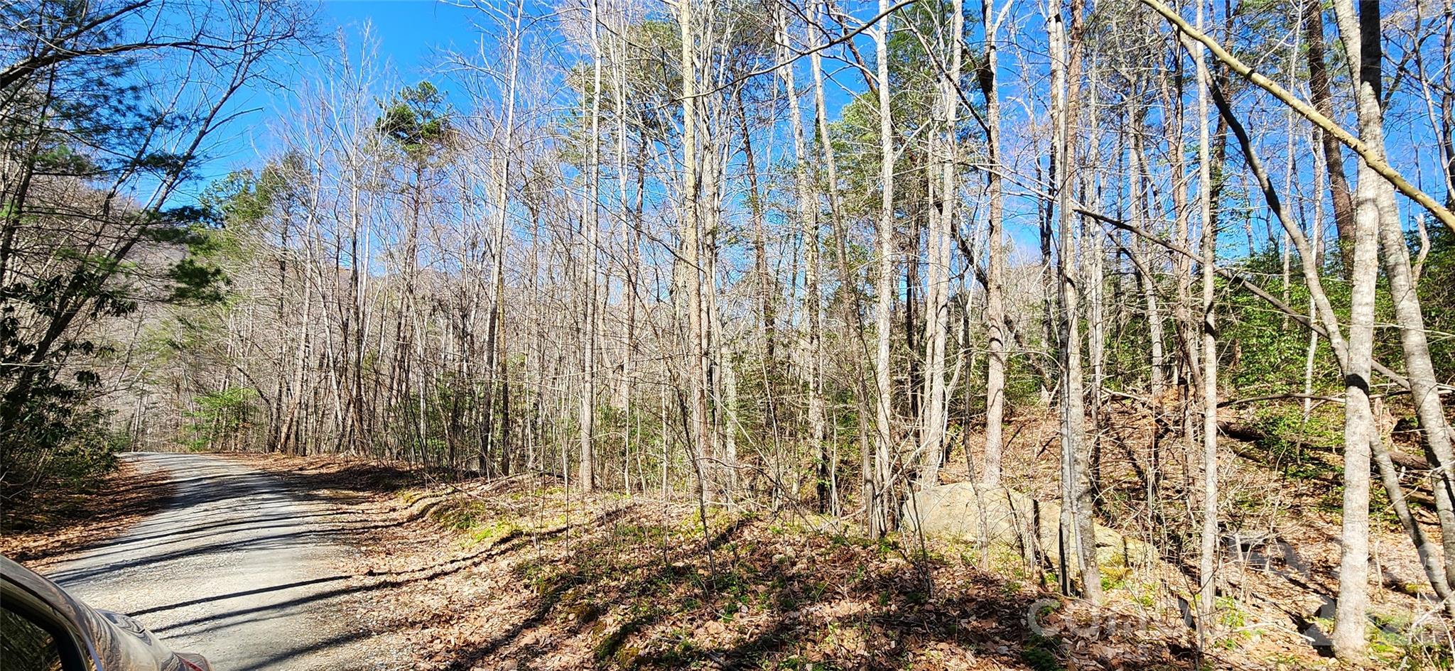 0 Buffalo Creek Road Lake Lure NC 28746