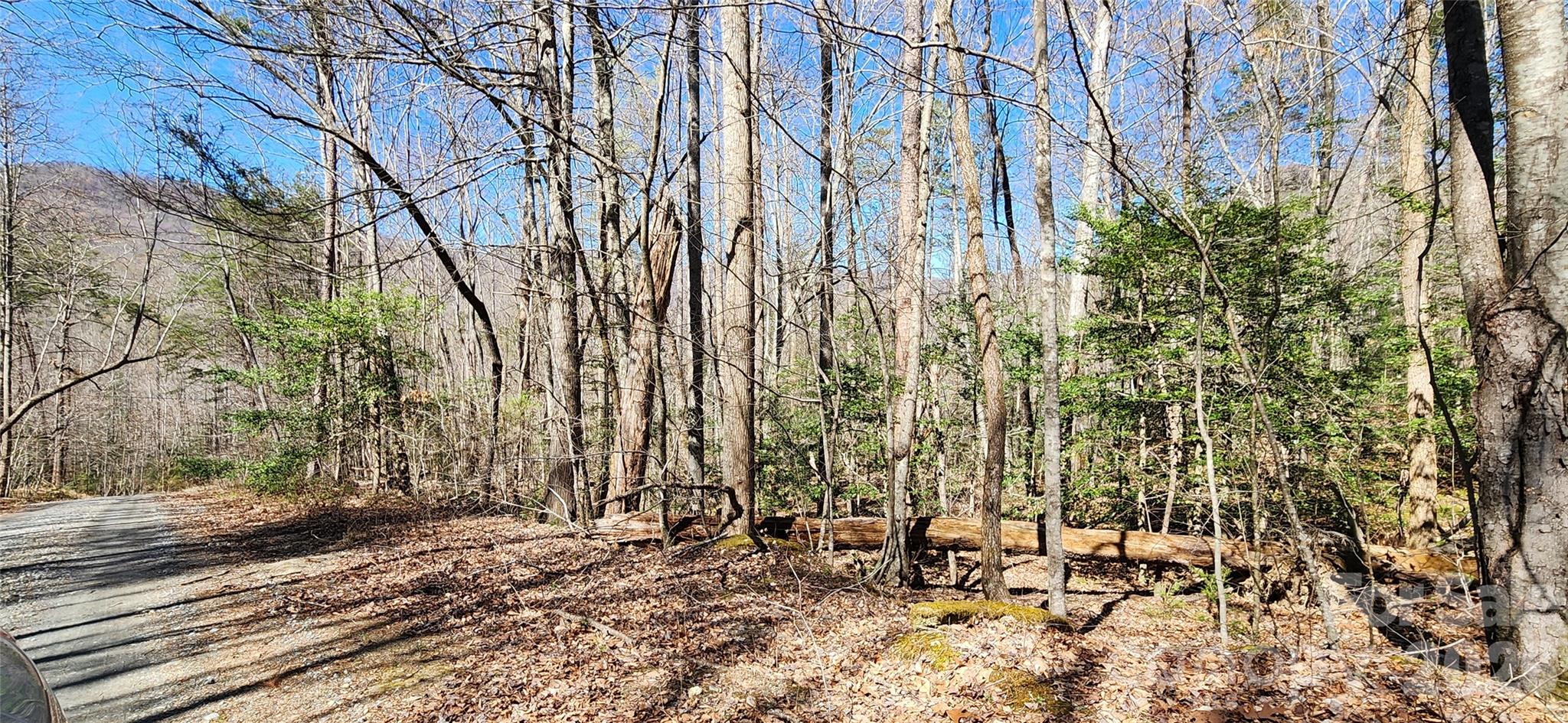 0 Buffalo Creek Road Lake Lure NC 28746