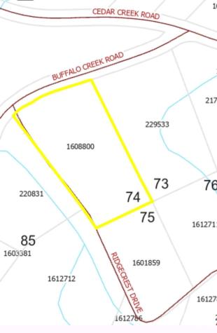 0 Buffalo Creek Road Lake Lure NC 28746