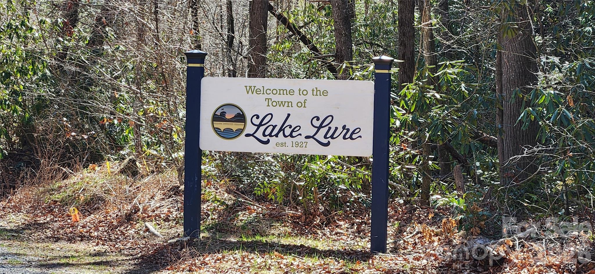 0 Buffalo Creek Road Lake Lure NC 28746