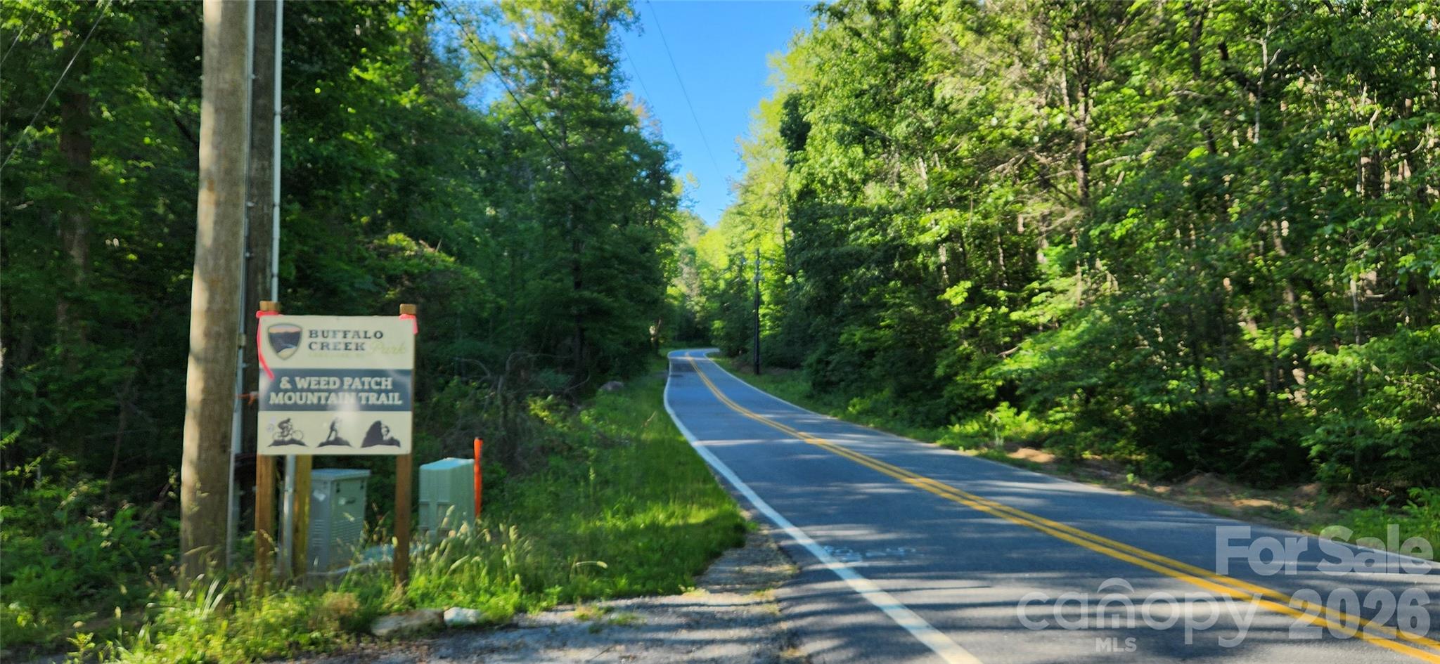 0 Buffalo Creek Road Lake Lure NC 28746