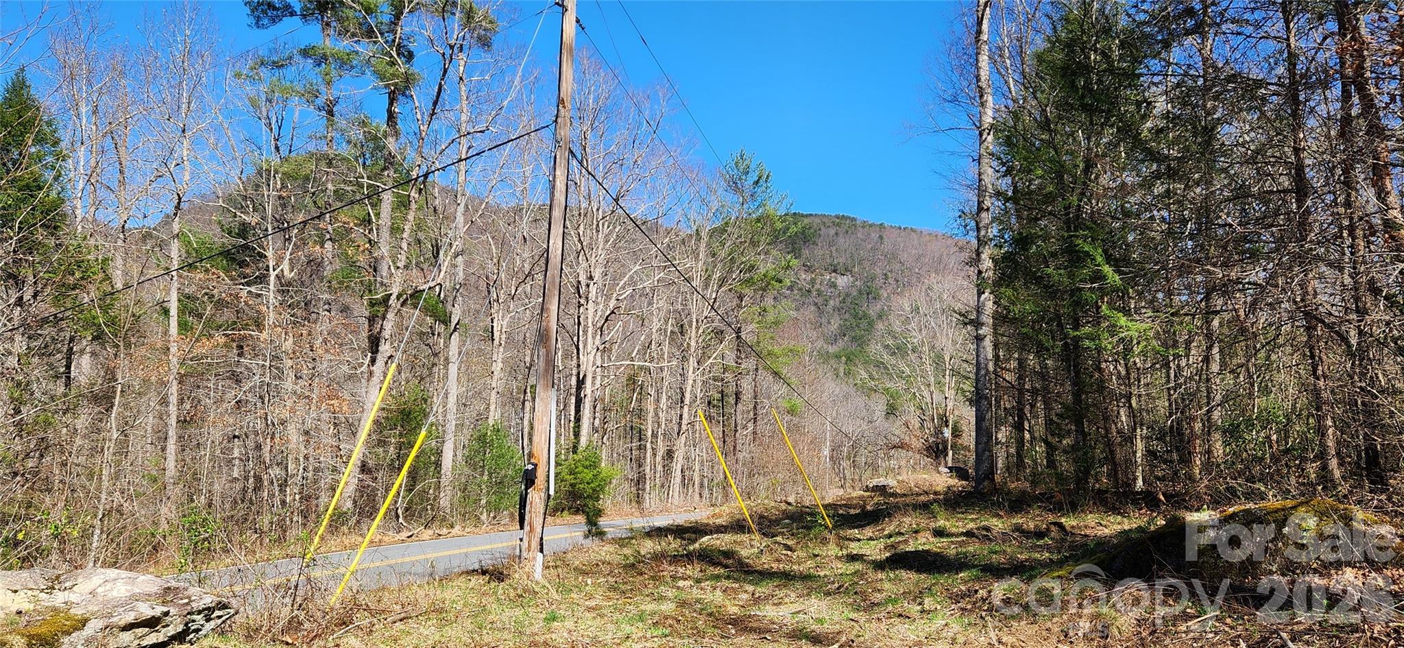 0 Buffalo Creek Road Lake Lure NC 28746
