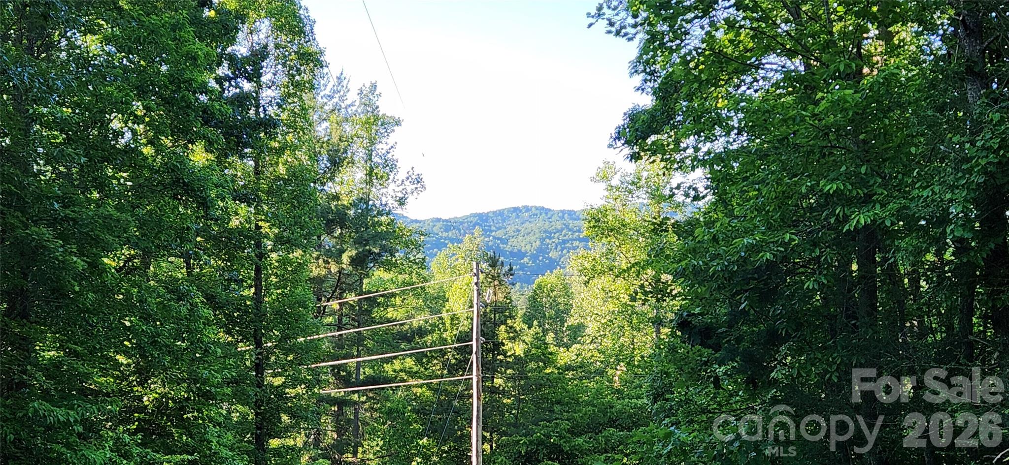 0 Buffalo Creek Road Lake Lure NC 28746