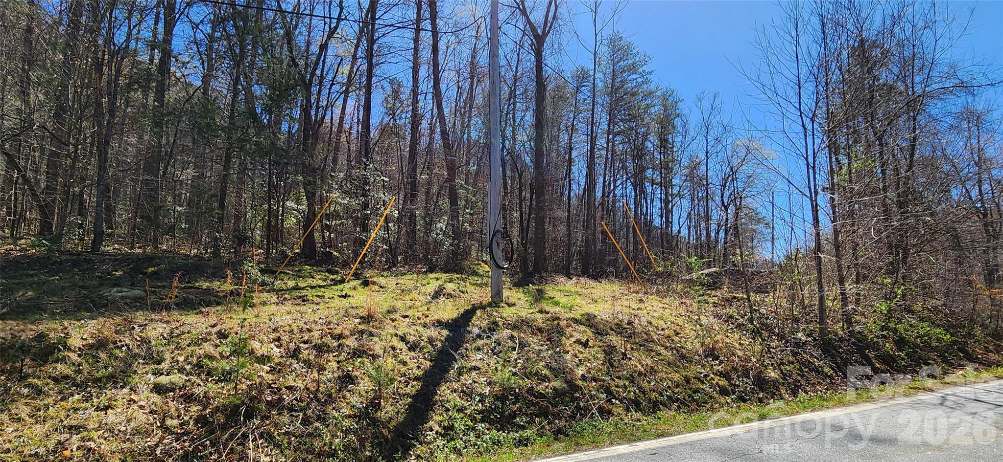 0 Buffalo Creek Road Lake Lure NC 28746