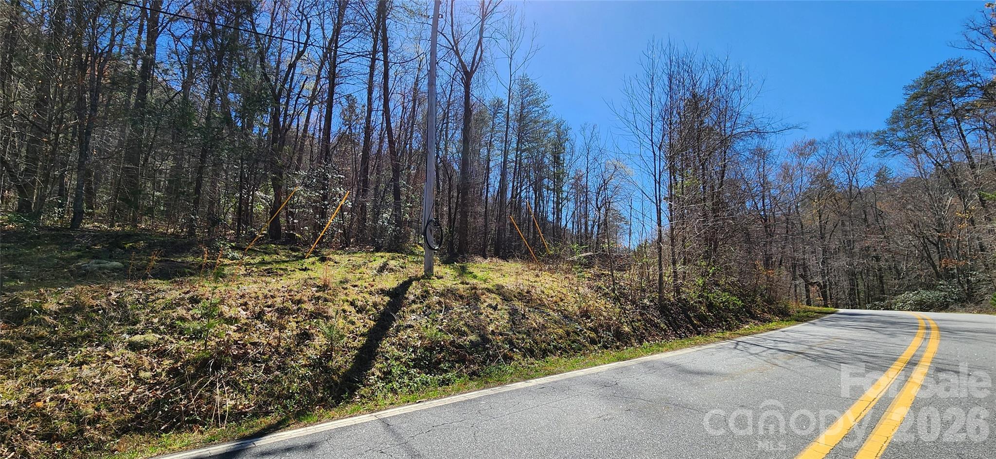 0 Buffalo Creek Road Lake Lure NC 28746