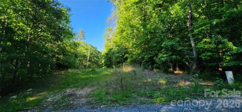 0 Buffalo Creek Road Lake Lure NC 28746
