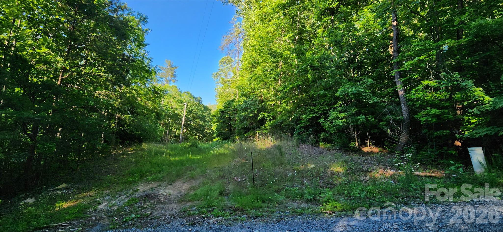 0 Buffalo Creek Road Lake Lure NC 28746