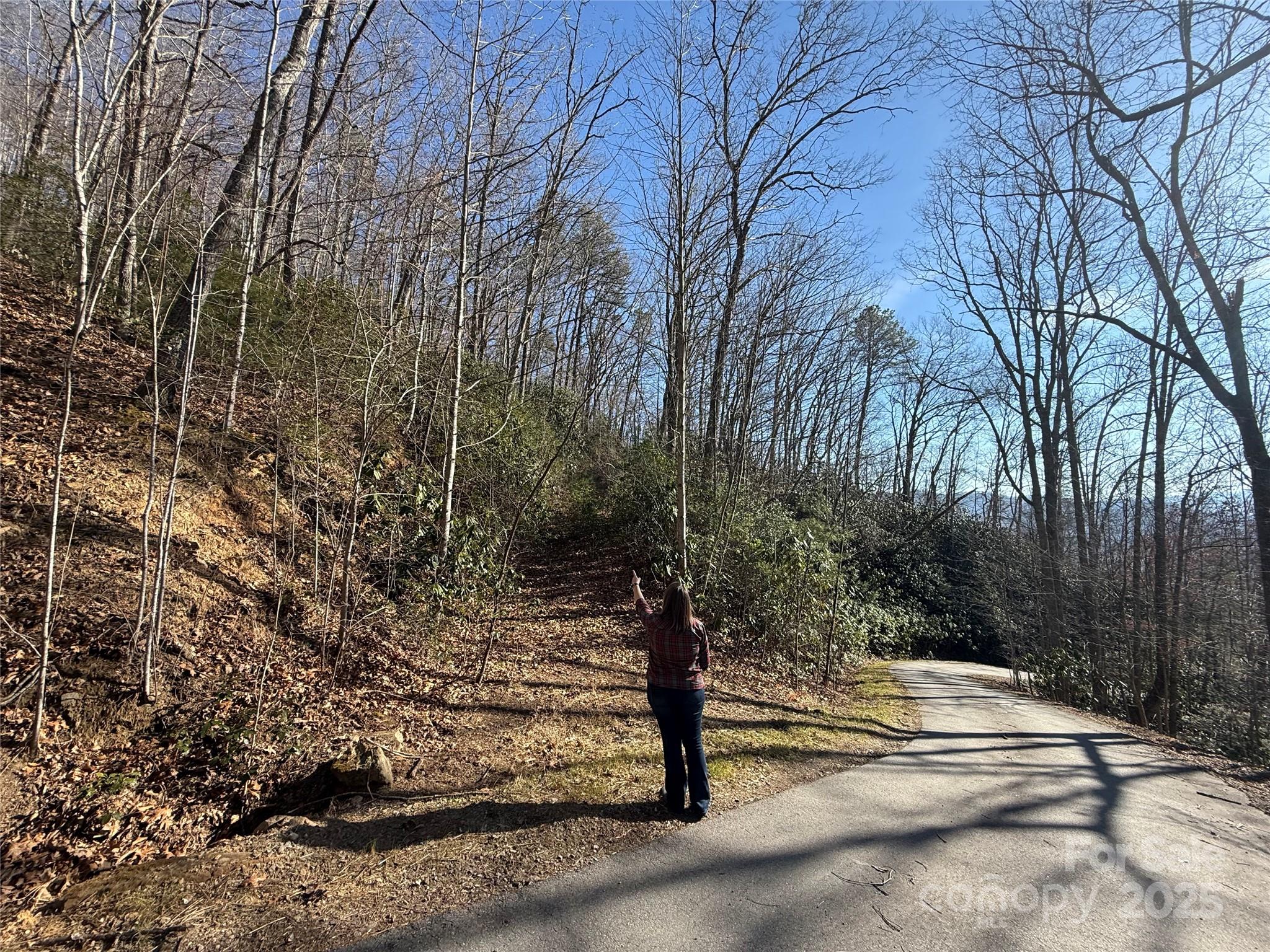 11 Lots Brer Rabbit Trail Waynesville NC 28785