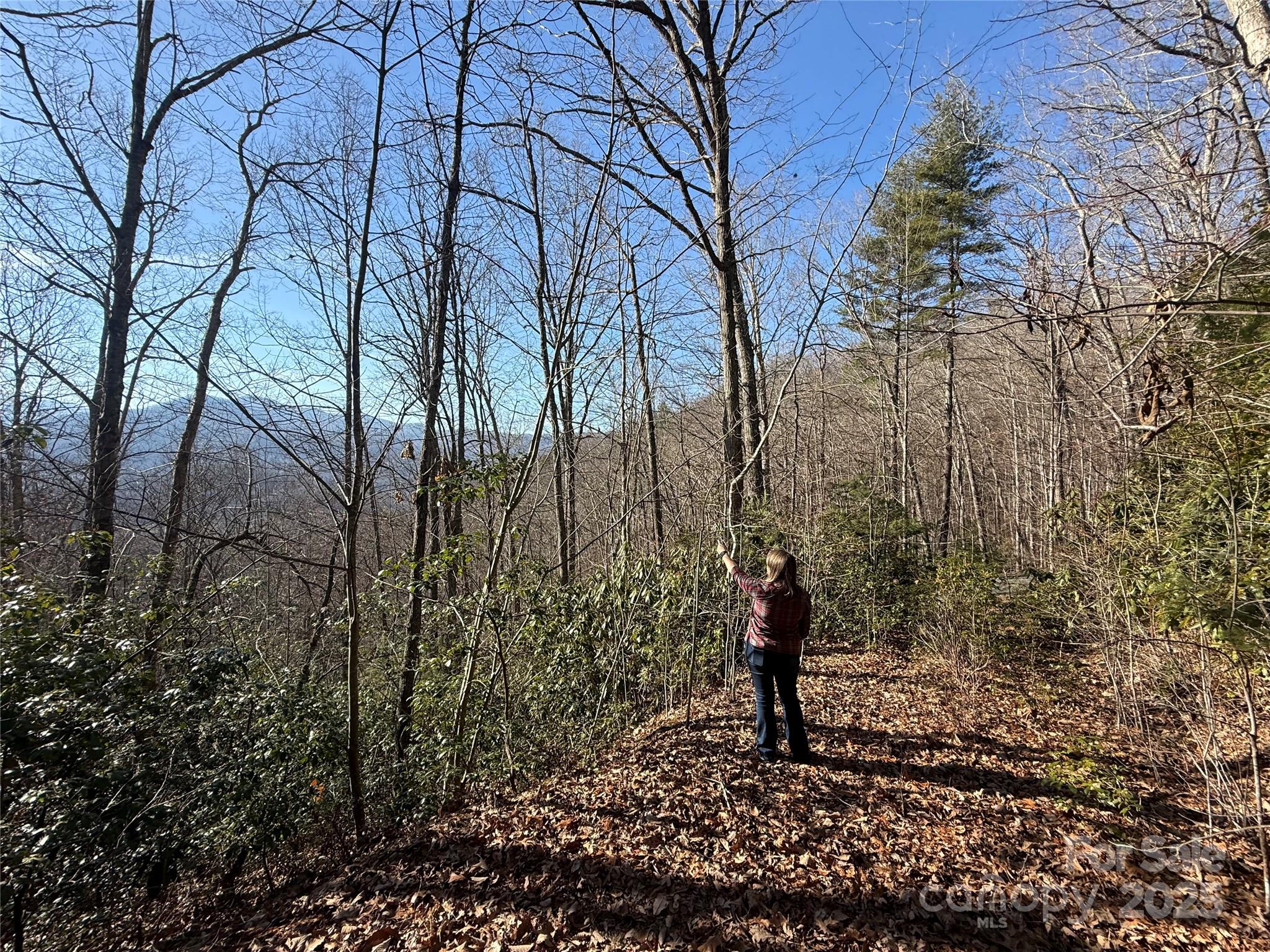 11 Lots Brer Rabbit Trail Waynesville NC 28785