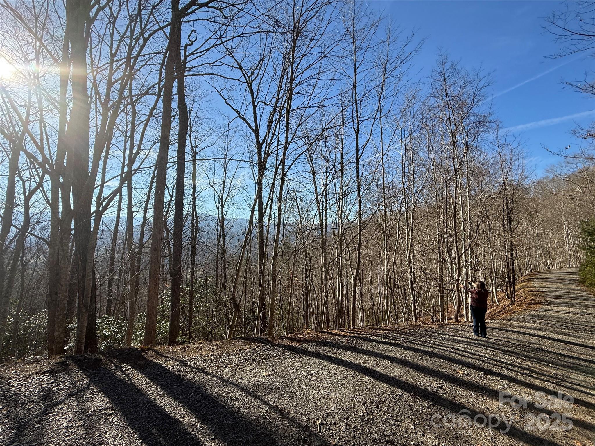 11 Lots Brer Rabbit Trail Waynesville NC 28785
