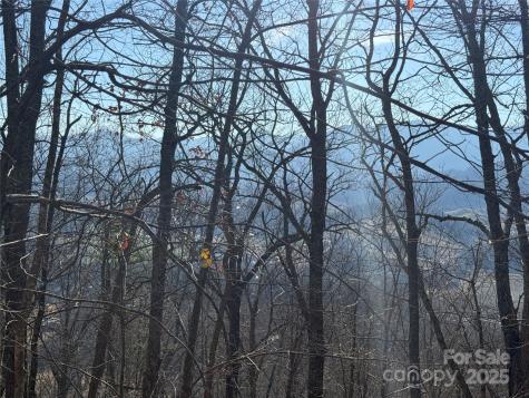 11 Lots Brer Rabbit Trail Waynesville NC 28785