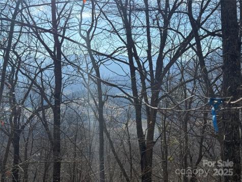 11 Lots Brer Rabbit Trail Waynesville NC 28785