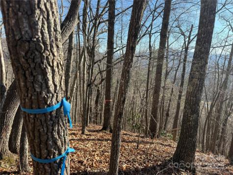 11 Lots Brer Rabbit Trail Waynesville NC 28785