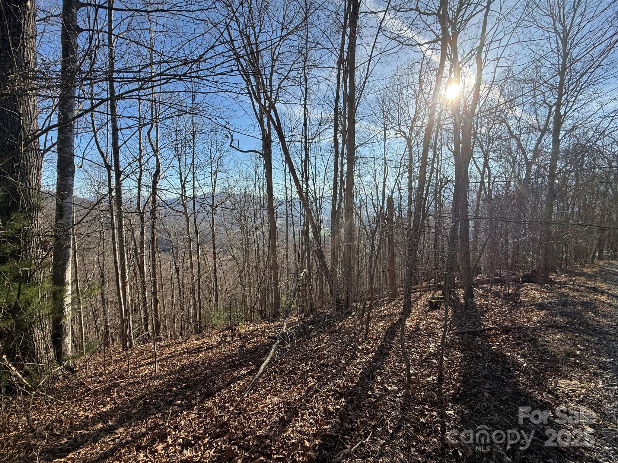 11 Lots Brer Rabbit Trail Waynesville NC 28785
