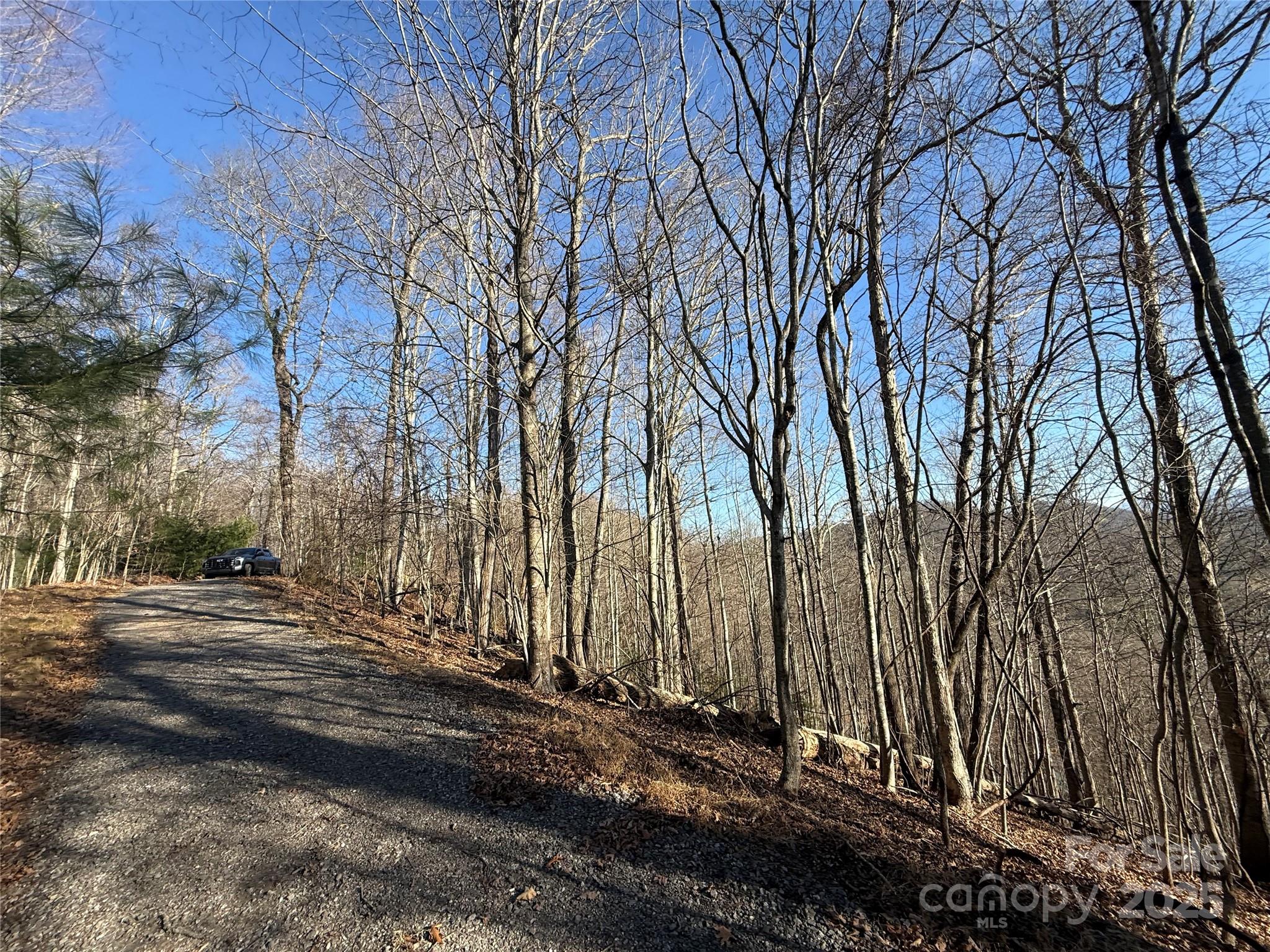 11 Lots Brer Rabbit Trail Waynesville NC 28785