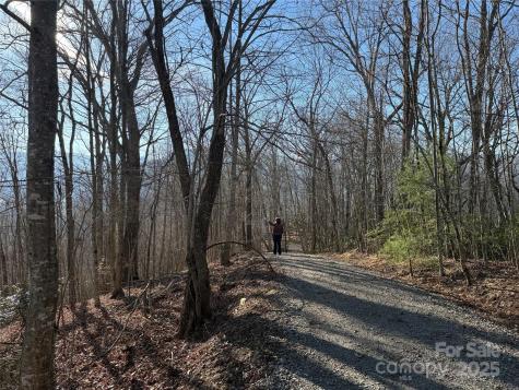 11 Lots Brer Rabbit Trail Waynesville NC 28785