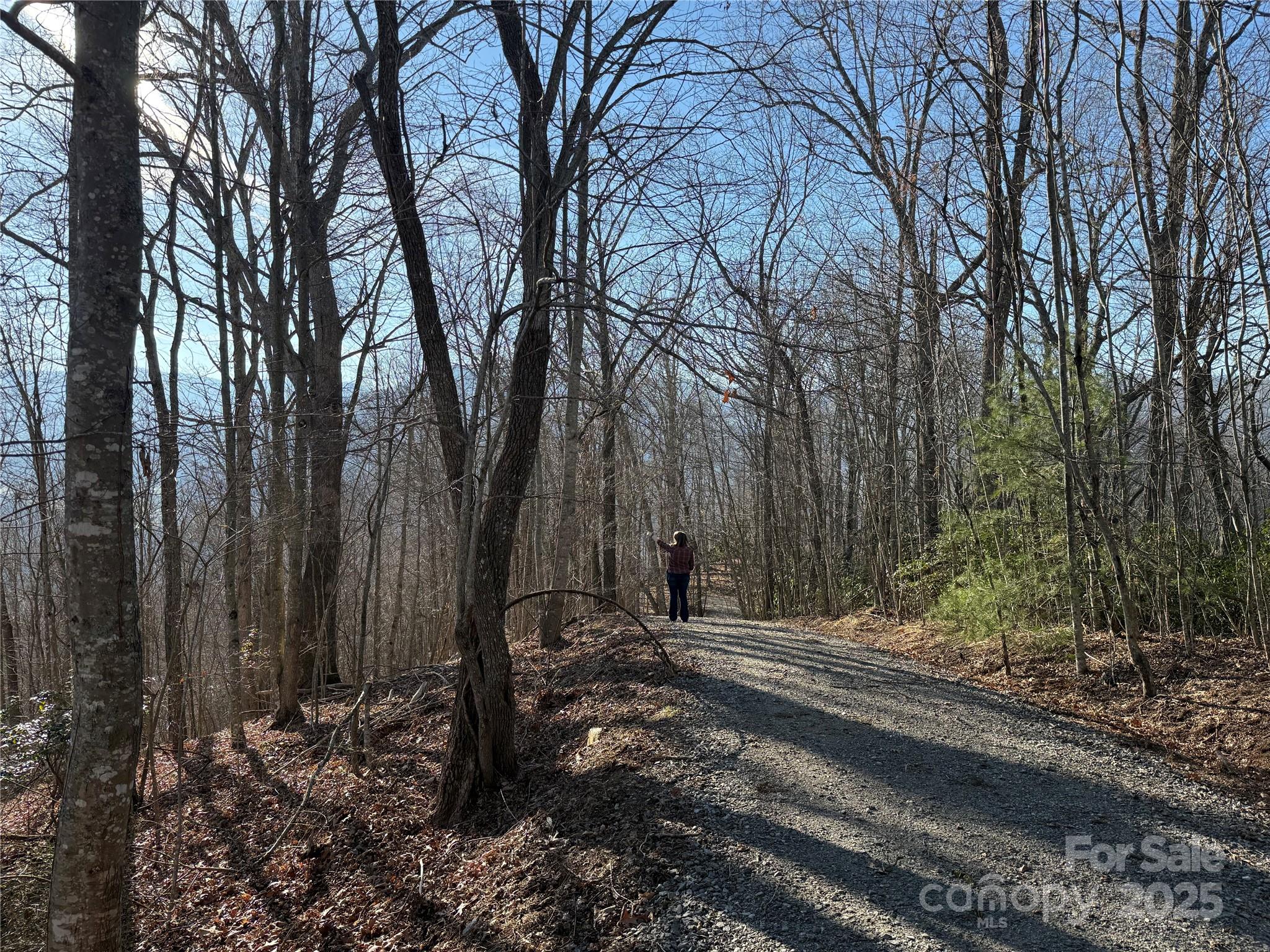 11 Lots Brer Rabbit Trail Waynesville NC 28785