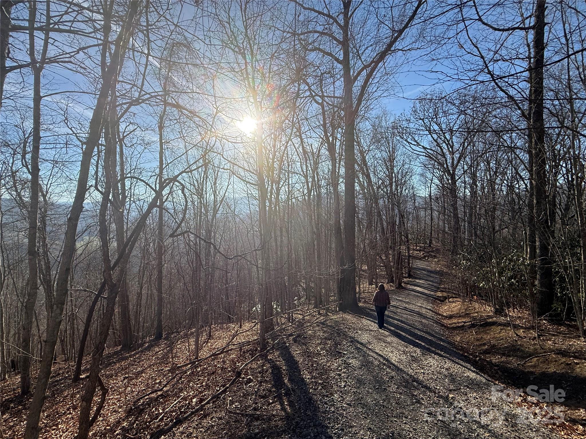 11 Lots Brer Rabbit Trail Waynesville NC 28785