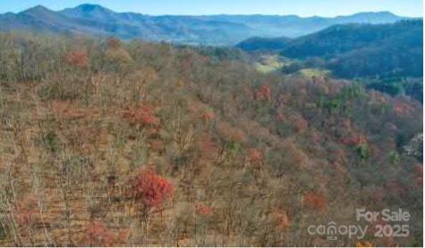 11 Lots Brer Rabbit Trail Waynesville NC 28785