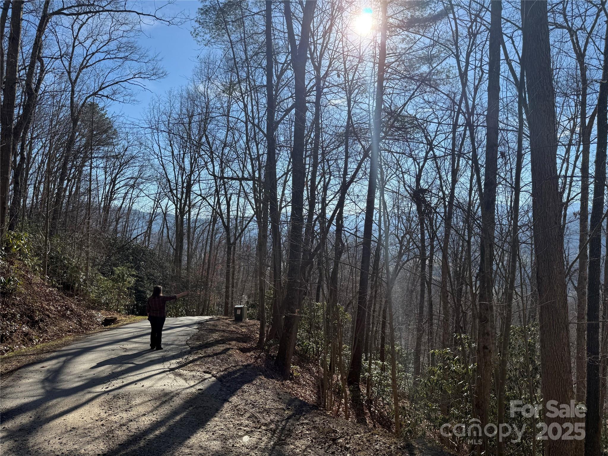 11 Lots Brer Rabbit Trail Waynesville NC 28785