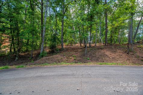 Lot 209 Plantation Drive Rutherfordton NC 28139