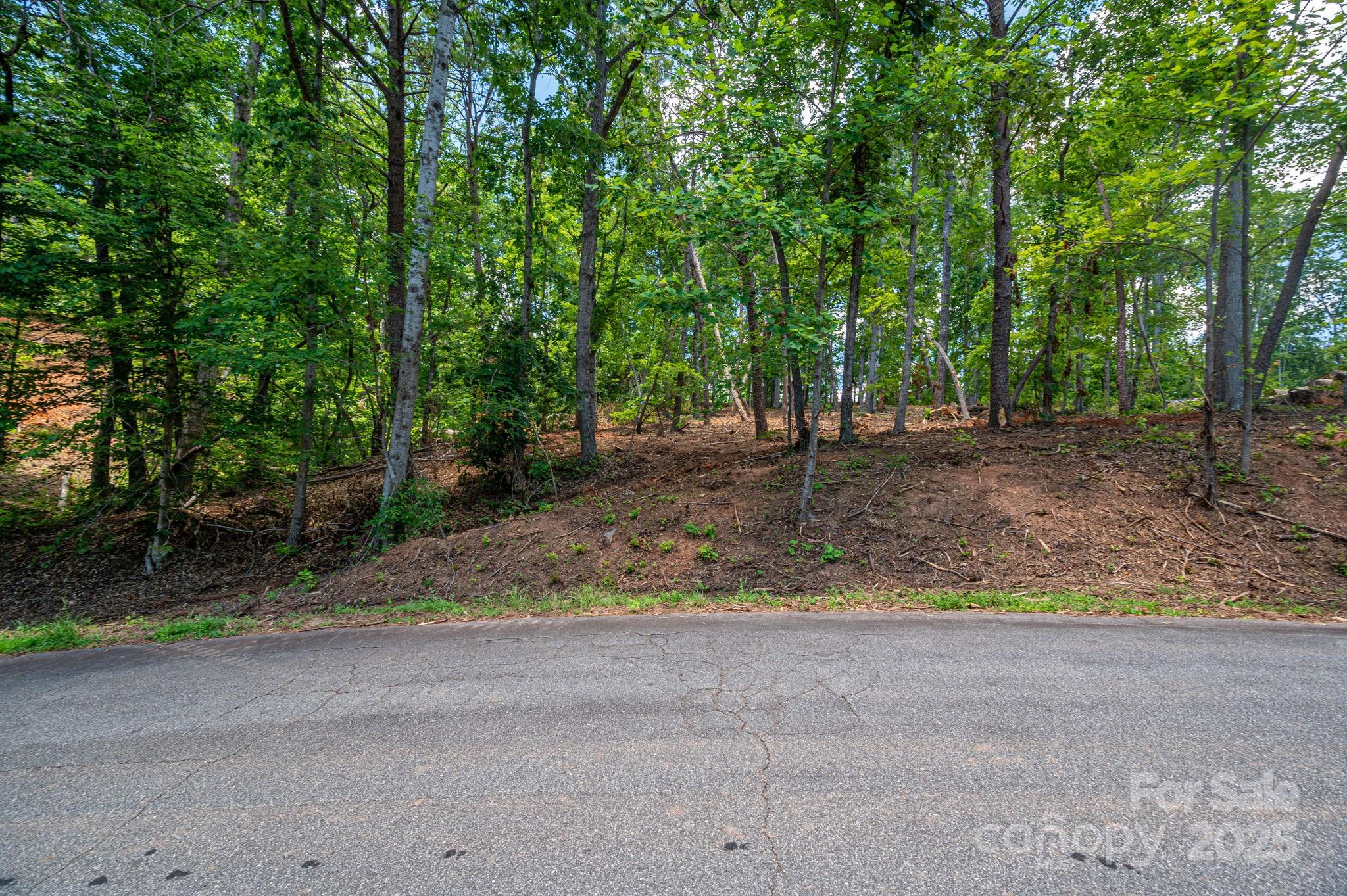 Lot 209 Plantation Drive Rutherfordton NC 28139