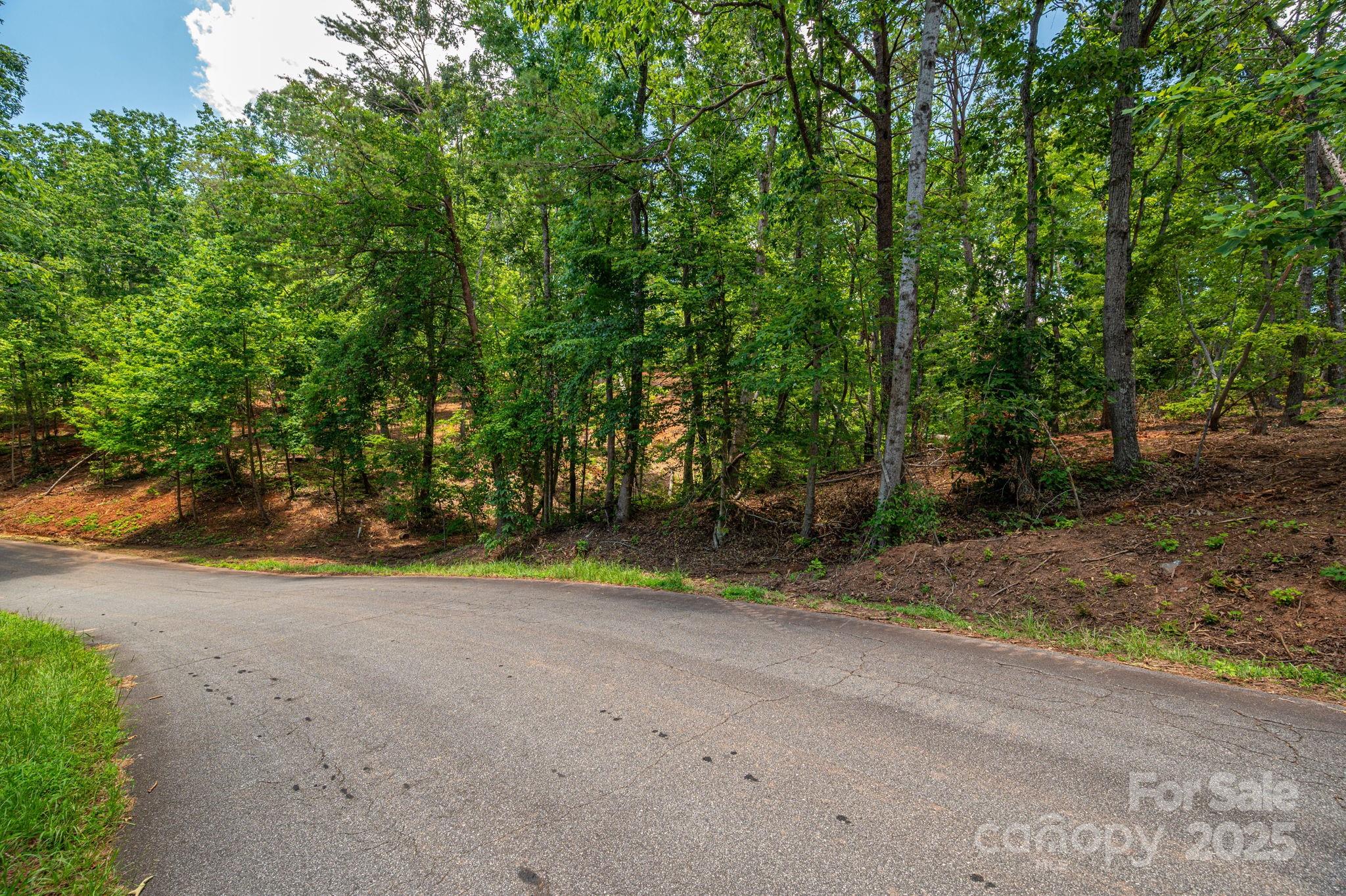 Lot 209 Plantation Drive Rutherfordton NC 28139
