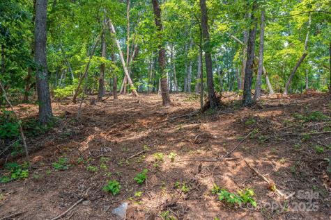 Lot 209 Plantation Drive Rutherfordton NC 28139